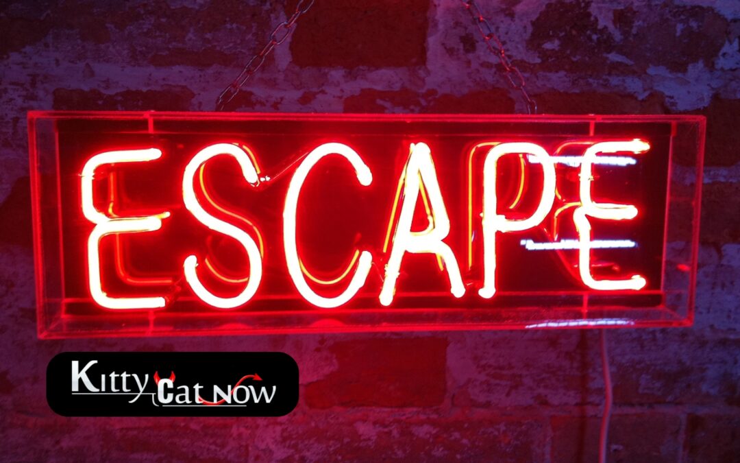 Escape the Ordinary: How to Throw a Bachelor Party He’ll Never Forget in St Louis