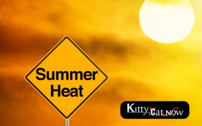 How to Heat Up Your Summer Parties with Exotic Dancers in St Louis