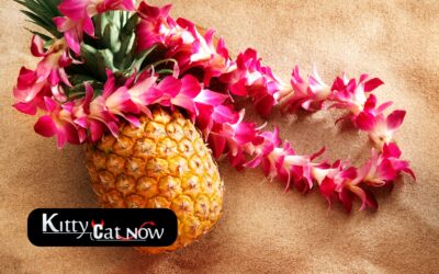 Top 5 Summer Party Themes with Strippers In St Louis