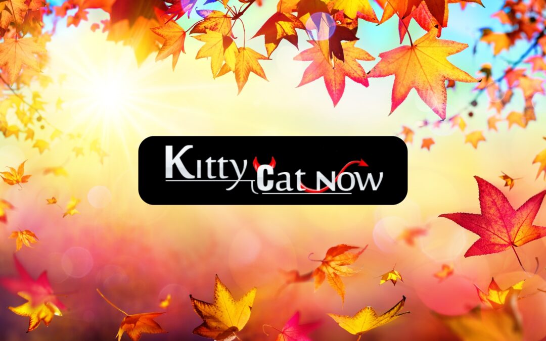 Why Fall Is the Best Season for Bachelor & Bachelorette Parties in St Louis