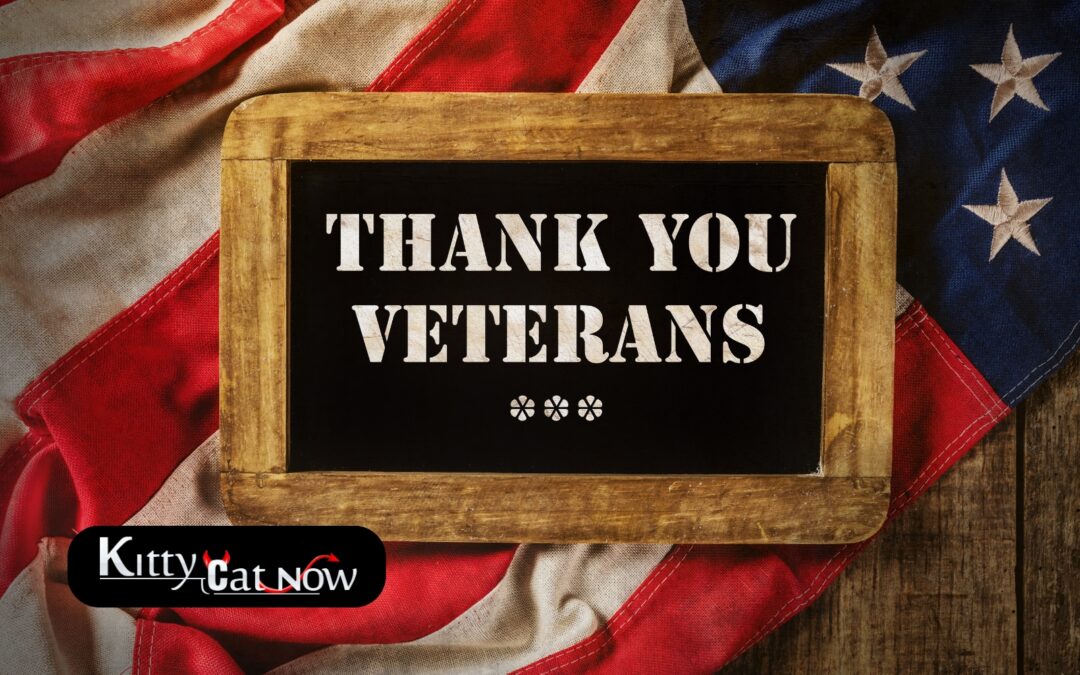 Veterans Day Ideas: Private Entertainers Bring the Party to You in St Louis