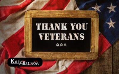 Veterans Day Ideas: Private Entertainers Bring the Party to You in St Louis