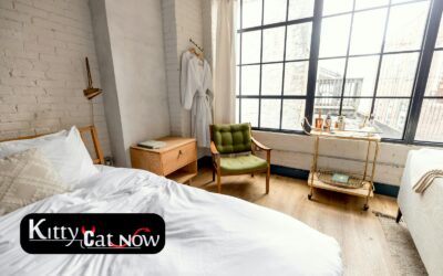 Planning a Private Airbnb Party with Strippers in St Louis