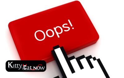 Top Mistakes to Avoid When Booking Strippers in St Louis