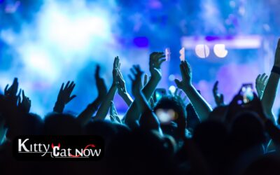 Why Booking Strippers from an Agency Is Safer Than Independents in St Louis