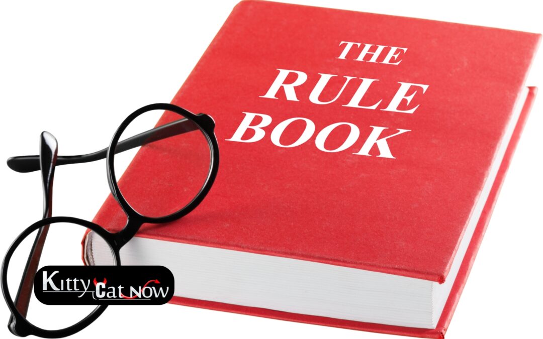 Bachelor Party House Rules in St Louis Before the Strippers Arrive