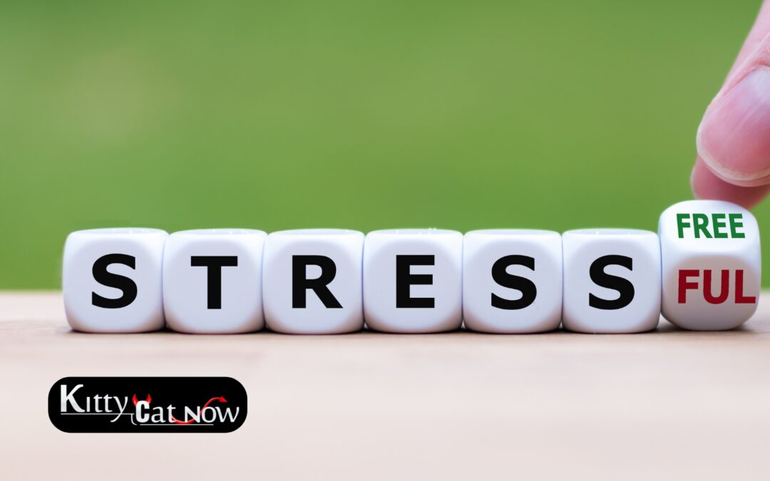 Hosting Private Party Entertainment at Home in St Louis: A Stress-Free Guide