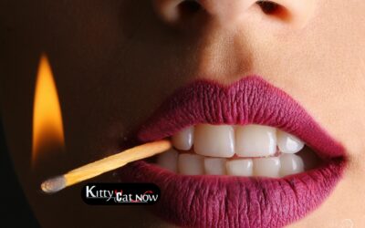 How Far in Advance Should You Book Strippers in St Louis?