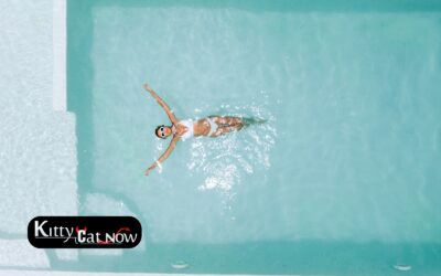 Pool Party Season in St Louis: How to Plan with Strippers