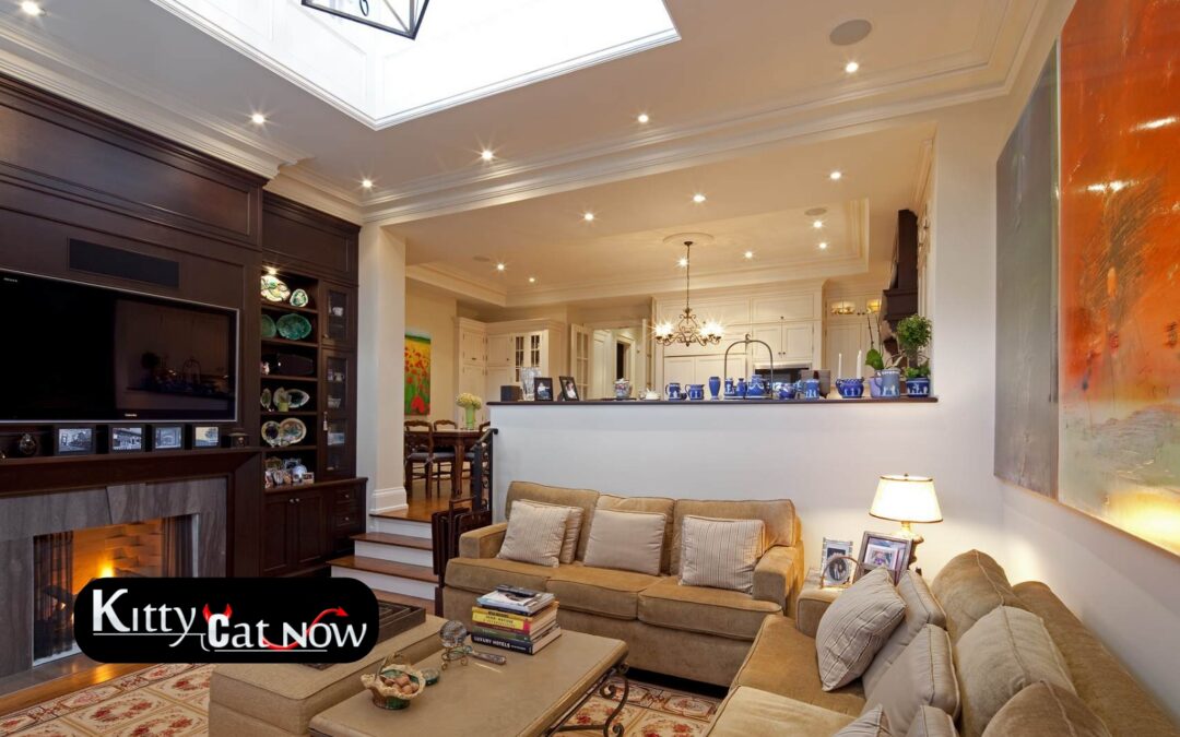 Transforming Your Living Room into a VIP Lounge in St Louis