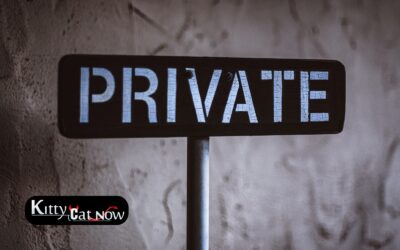 Why Private Party Entertainment Beats the Club Scene in St Louis