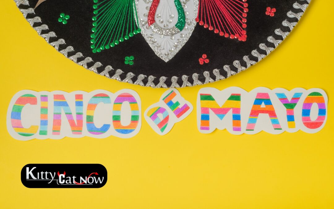 Cinco de Mayo Party Ideas in St Louis: Tacos, Tequila & Private Strippers