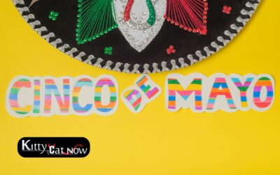 Cinco de Mayo Party Ideas in St Louis: Tacos, Tequila & Private Strippers