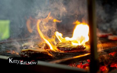 Memorial Day Party Ideas in St Louis: BBQ, Private Entertainment & VIP Vibes