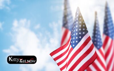Memorial Day Party Ideas in St Louis with Strippers