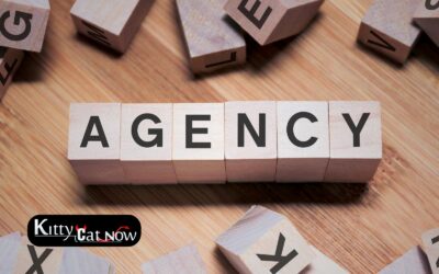 How to Choose a Legit Stripper Agency in St Louis