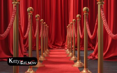 Why Booking Strippers in St Louis Creates a VIP Experience