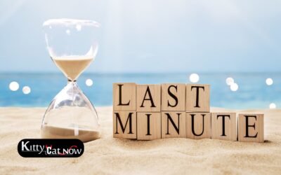 Last-Minute Bachelor Partying St Louis: Booking Entertainment on Short Notice