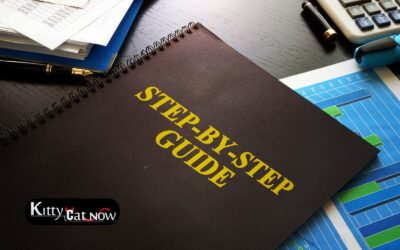 Planning a St Louis Bachelor Party Weekend: A Step-by-Step Timeline