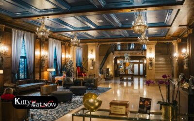 Hotel Suite vs. House Rental: Where to Host Your St Louis Bachelor Party