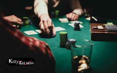 Topless Waitresses for Poker Night in St Louis: Turn Your Home Game into a VIP Party